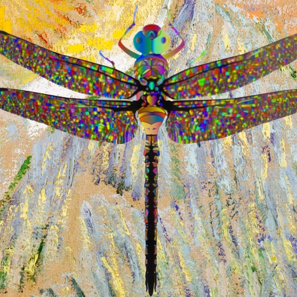 lavishdragonfly